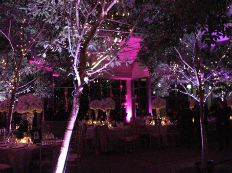 Lighting your Wedding | Event Accomplished LLC