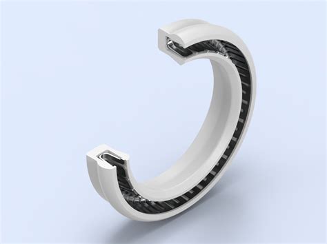 Spring Energized Seal ElringKlinger Engineered Plastics