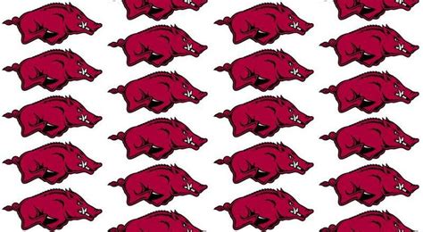 🔥 [100+] Razorback Wallpapers Free | WallpaperSafari