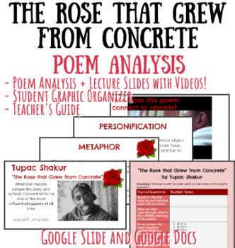 The Rose That Grew From Concrete Book Poems