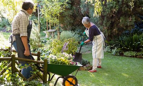 Ferrugem Em Plantas Como Tratar De Forma Eficiente I Petz