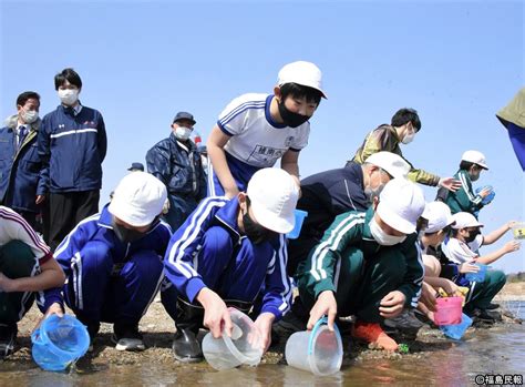 「元気に帰ってきてね！」 木戸川（福島県楢葉町）でサケの稚魚放流 浜さ恋