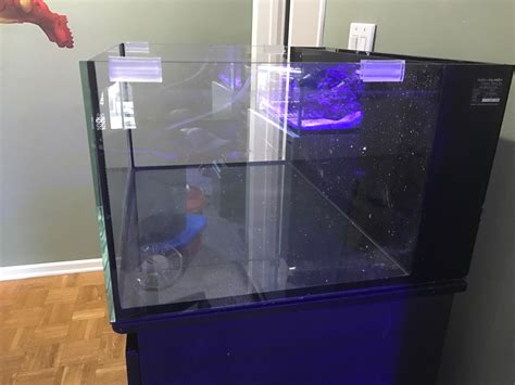 Fs Innovative Marine Fusion Lagoon Whole Tank And Accessories