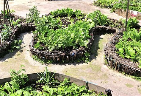 8 Amazing Keyhole Garden Ideas