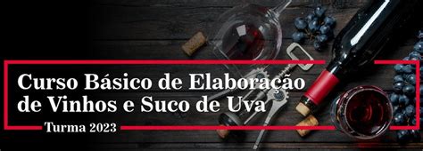 Curso Online Embrapa De Vinhos E Suco De Uva Blog Vinho Tinto