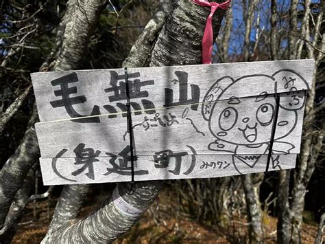 毛無山（三角点）・毛無山（最高点）・大見岳 ちゅるさんの毛無山・雨ヶ岳・竜ヶ岳の活動データ Yamap ヤマップ