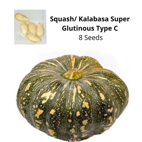 Squash Kalabasa Super Glutinous Seeds Shopee Philippines