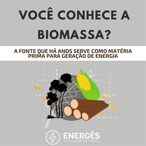 O Que A Biomassa Quais Seus Usos Energ Ticos