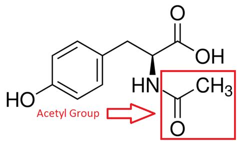 L-Tyrosine vs. N-Acetyl L-Tyrosine: A Tale of Two Tyrosines