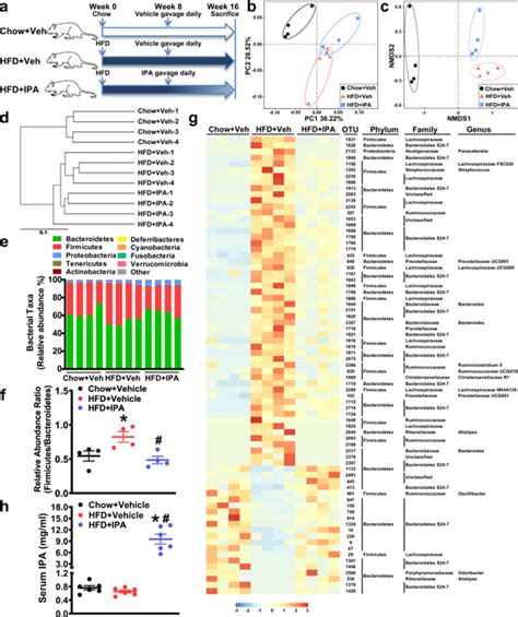 Indole 3 Propionic Acid Inhibits Gut Dysbiosis And Endotoxin Leakage To