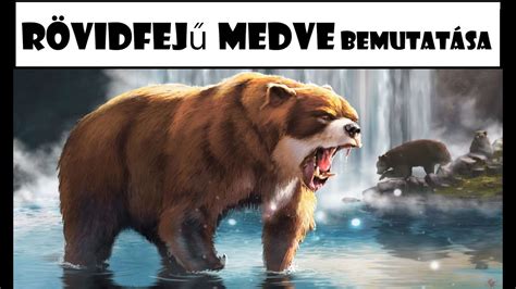 R Vidfej Medve Arctodus Bemutat Sa Magyarul Youtube