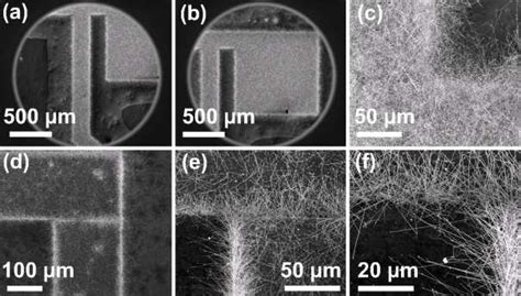 Figure S5 SEM Images Showing Direct Growth On Chips A C Dense SnO 2