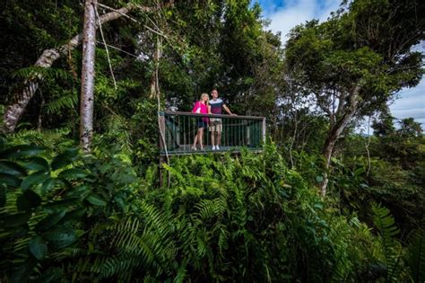 Skyrail Train One Way Cairns Pick Up