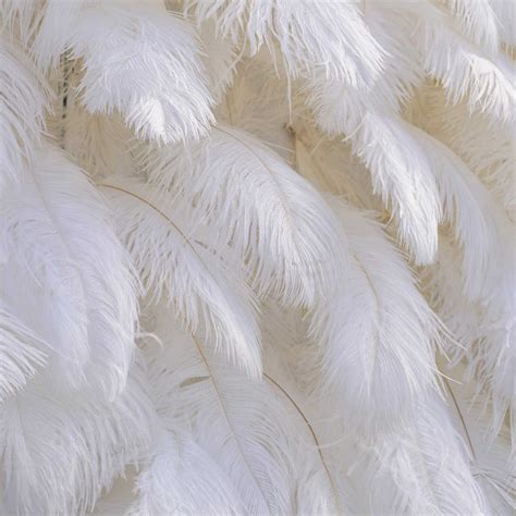 White Feather Wall Backdrop Rent Gorgeous DIY Garland Décor for Less