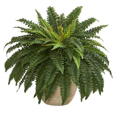 Reviews For Nearly Natural Indoor In Boston Fern Artificial Plant