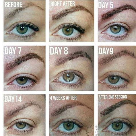 Microblading Cejas Curacion Quina de São João