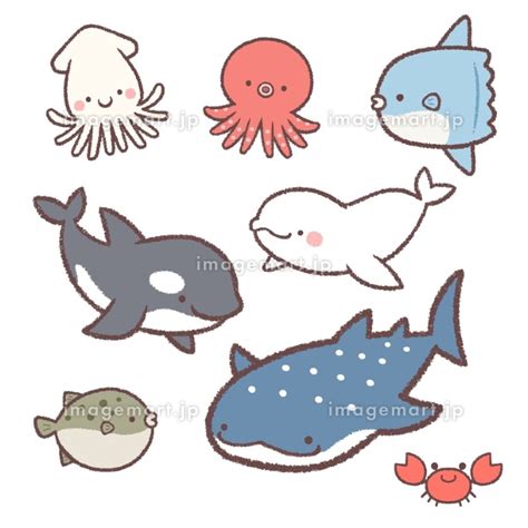 海の動物セットのイラスト素材 159025232 イメージマート