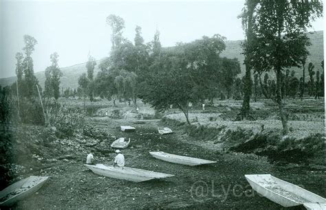 Lycaon On Twitter Este Canal En Las Chinampas Cerca De Tlahuac Lago