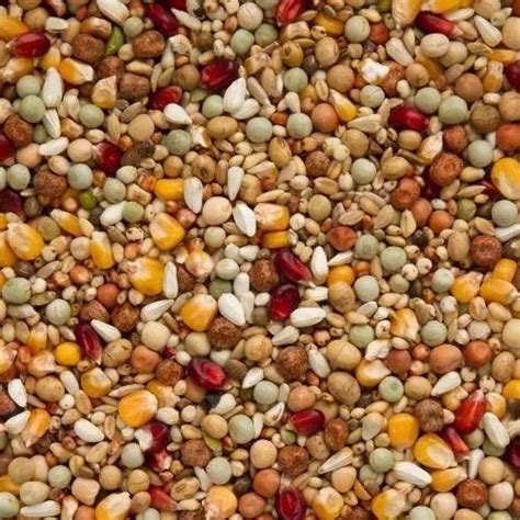 Pigeon Feed Racing Pigeon Feed Grain Mixture Format Manufacturer