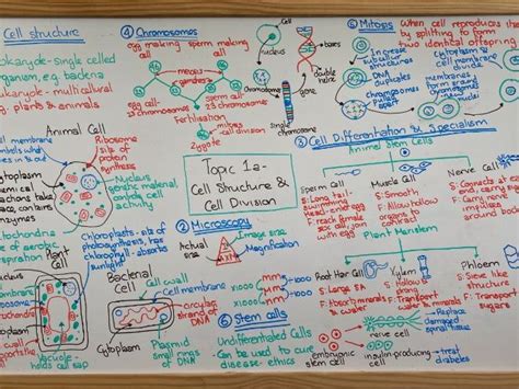 Aqa Gcse Combined Science Trilogy Biology Revision Mats Teaching