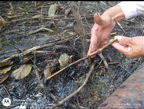 Ecopetrol Responde A Denuncias Por Afectaciones En La Ciénaga San