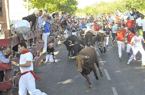 Ferias As Ser La Vuelta De Los Encierros Y Los Toros A Alcal