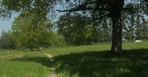 Sentier De Soudan Rando Loire Atlantique