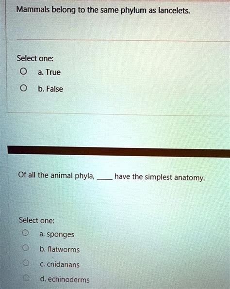 SOLVED: Mammals belong to the same phylum as lancelets Select one: a ...