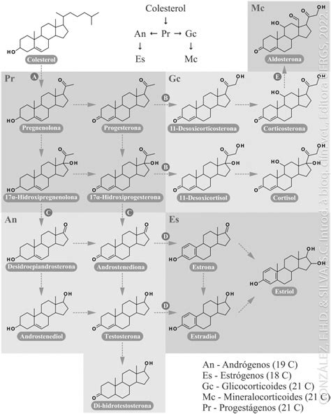 Os Lipídios Biologicos São Um Grupo De Compostos Quimicamente Diversos