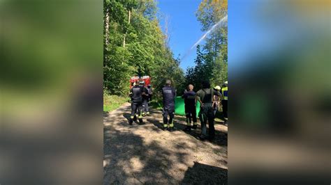 Lauterberger Feuerwehren Ben Den Einsatz Beim Waldbrand