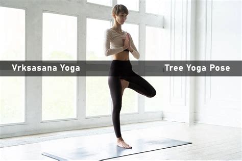 Yoga Tree Pose Variations