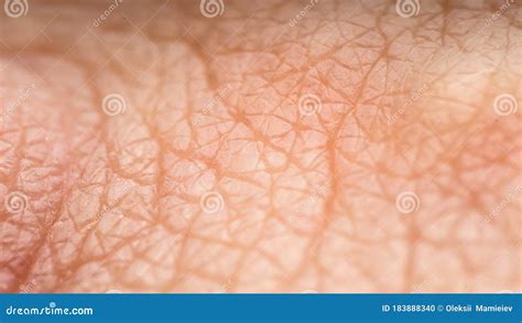 Texture Relief Of Healthy Human Skin Macro Photography Visible Bumps Furrows The Concept