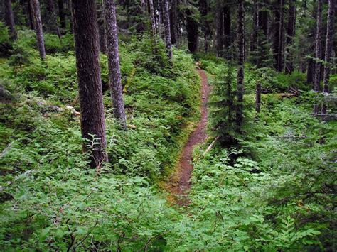 Nude Hiking And Soaking In The Pacific Northwest Grin And Bear It