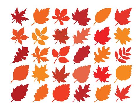 Fall Leaves Svg Png Fall Leaf Svg Fall Svg Fall Leaf Svg Etsy