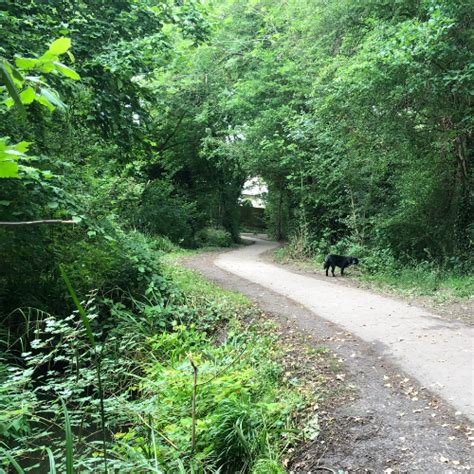 Woods And Walks Tonbridge And Malling Borough Council