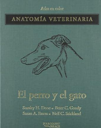 Atlas En Color Anatomia Veterinaria El Perro Y El Gato Spanish