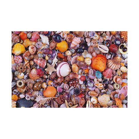 Seashells Jigsaw Puzzle 1000 Pcs Brown Piatnik Jigsaw Puzzles Puzzle 1000 Piece Jigsaw