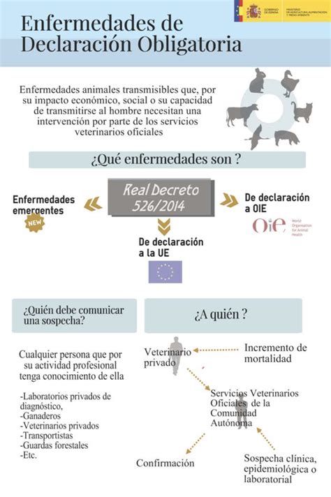 Dermatosis nodular contagiosa - Axon Comunicacion. Expertos en ...