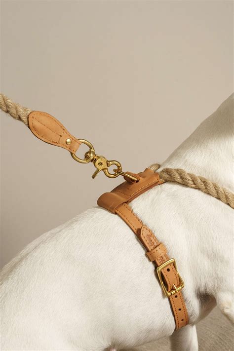 Editor S Picks 10 Designer Dog Collars Leashes Harnesses Artofit