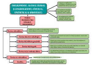 Mperfetti 5 Proceso De Enfermer A A Adulto Mayor Con Diabetes Tipo 2