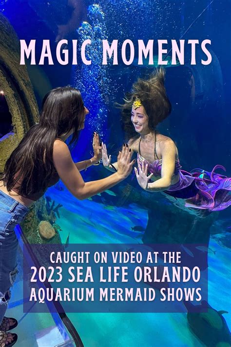 Videos of SEA LIFE Orlando's Aquarium Mermaid Shows that will give you ...