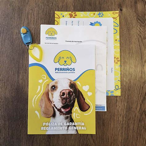 Curso Para Cachorros Perrinos