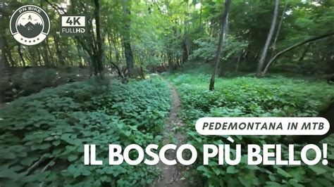 Il Bosco Pi Bello Della Pedemontana Mtb K Youtube