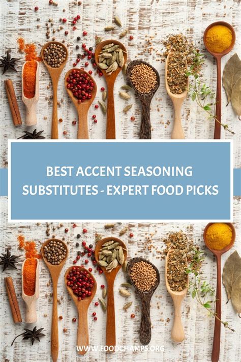 Best Accent Seasoning Substitutes Expert Recommendations