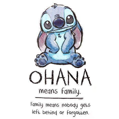 Lilo & Stitch - Ohana Means Family Women's T-Shirt White | Elbenwald