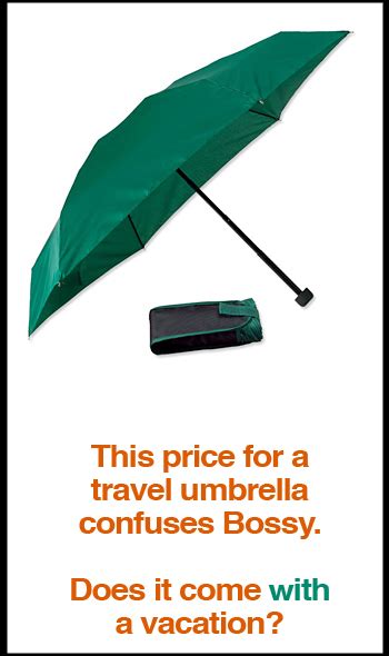 Compact Travel Umbrella | Alpha Mom