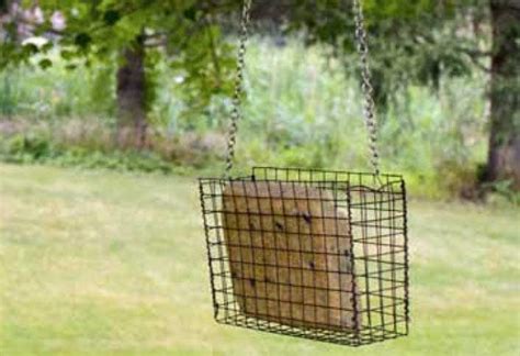 How To Make A Suet Bird Feeder At The Home Depot