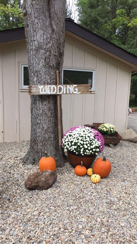 Fall Wedding Mums Fall Wedding Mums Fall Wedding Plants