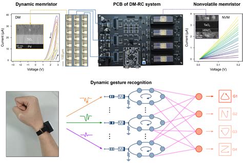 仲亚楠副教授及其合作者在nature Electronics上发表论文