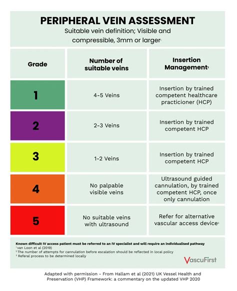 Understanding The Concept Of Vessel Health And Preservation Peak